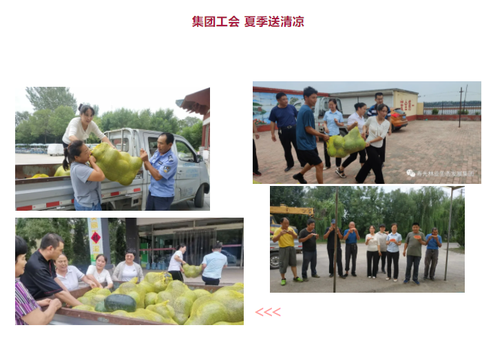 ���ֹ���F66��(�й���)�ٷ���վ