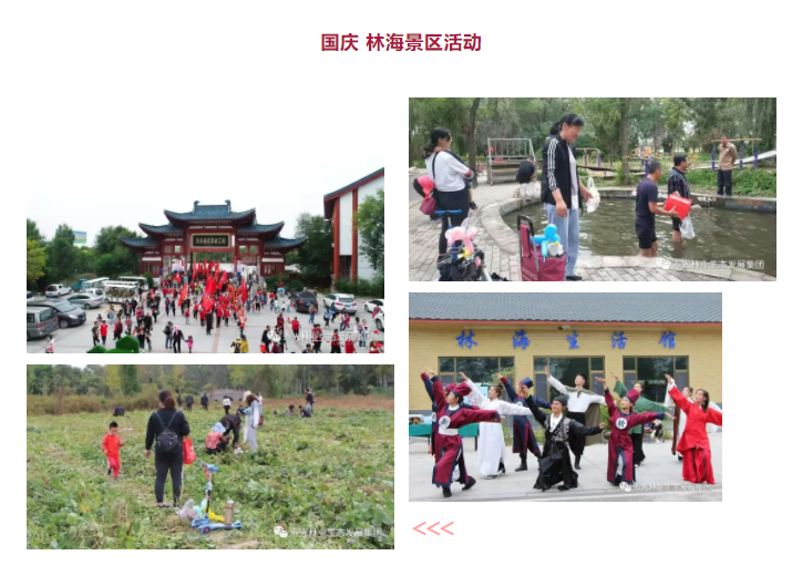 ���ֹ���F66��(�й���)�ٷ���վ