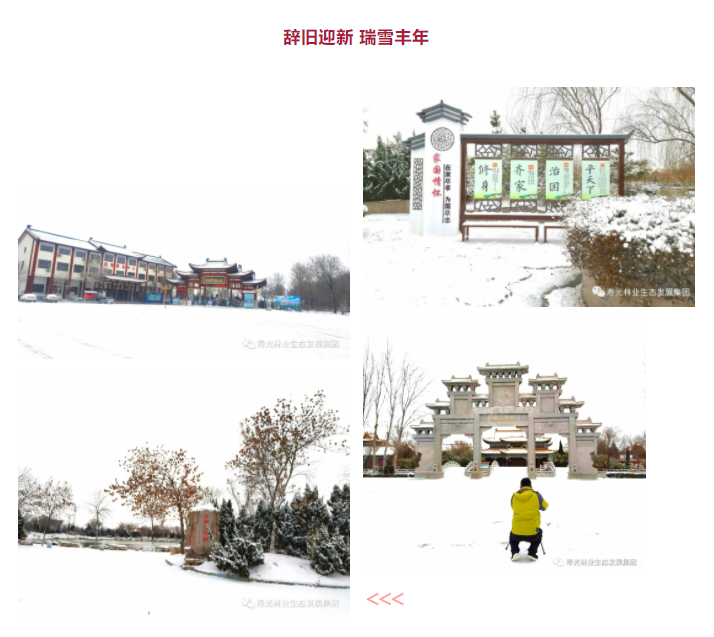 ���ֹ���F66��(�й���)�ٷ���վ