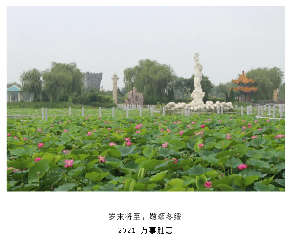 ���ֹ���F66��(�й���)�ٷ���վ