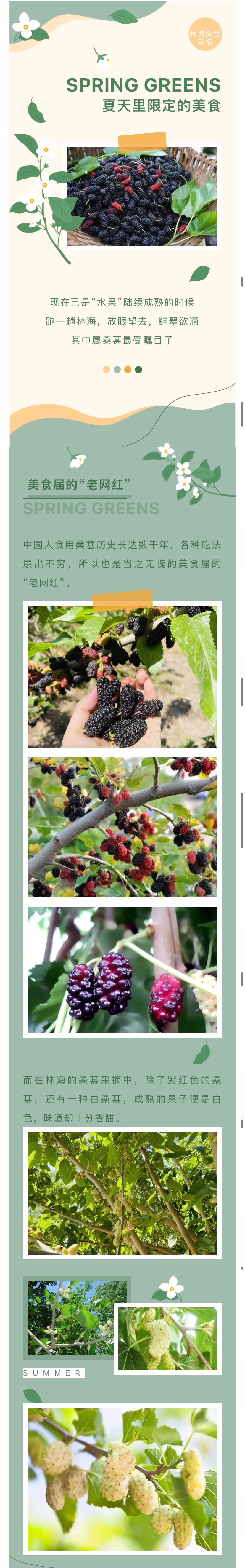 ���ֹ���F66��(�й���)�ٷ���վ