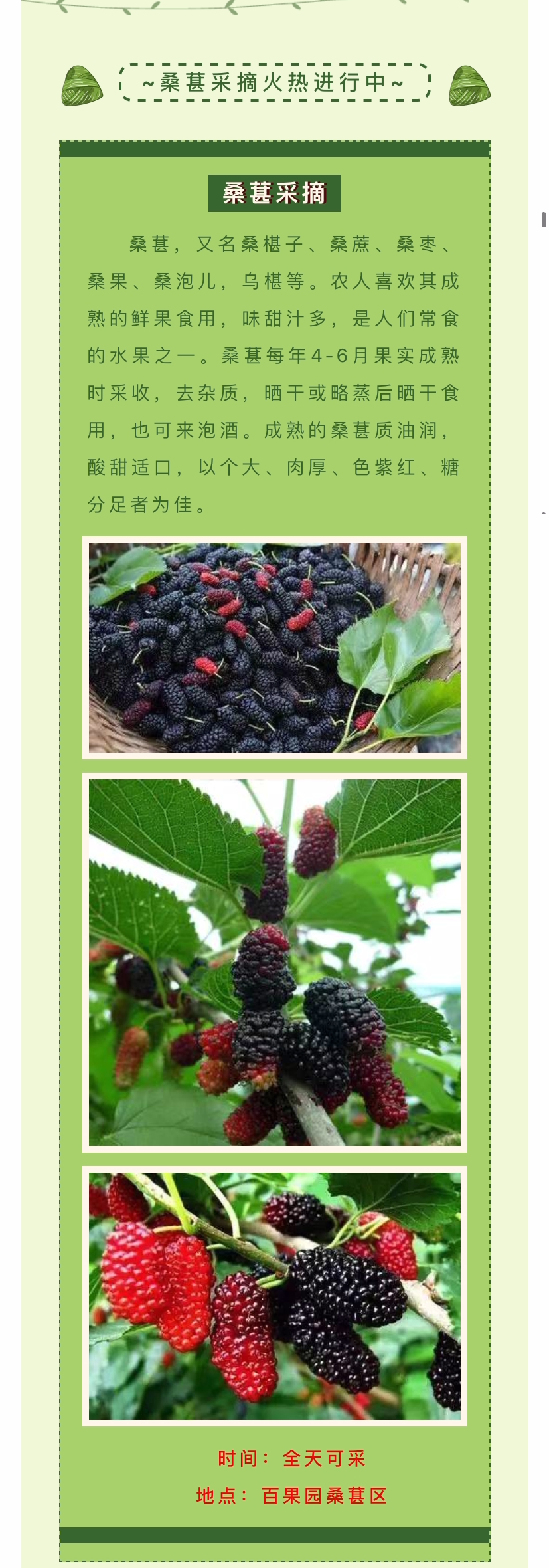 ���ֹ���F66��(�й���)�ٷ���վ