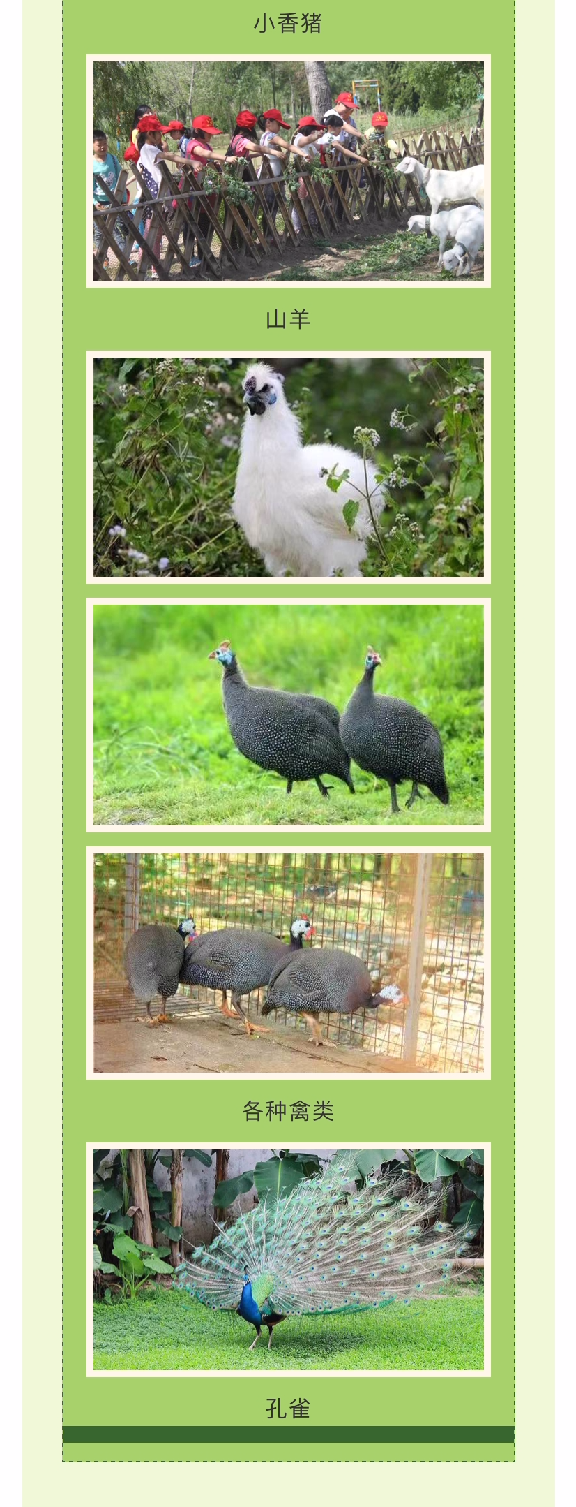 ���ֹ���F66��(�й���)�ٷ���վ