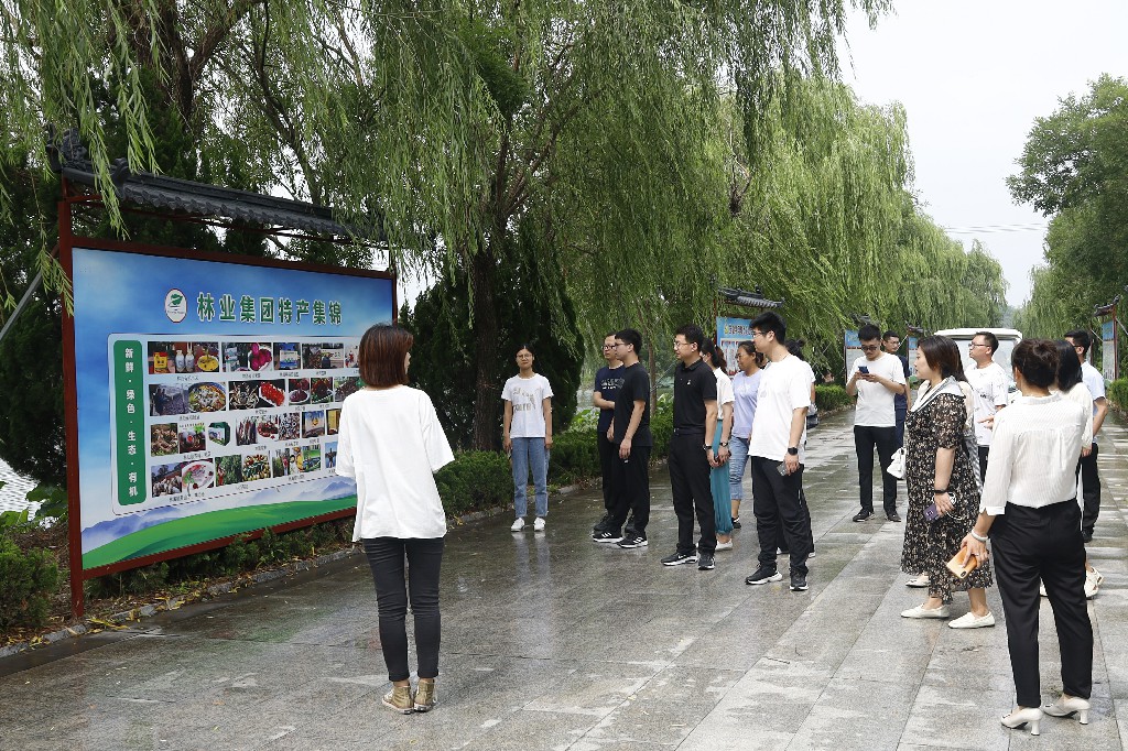 ���ֹ���F66��(�й���)�ٷ���վ