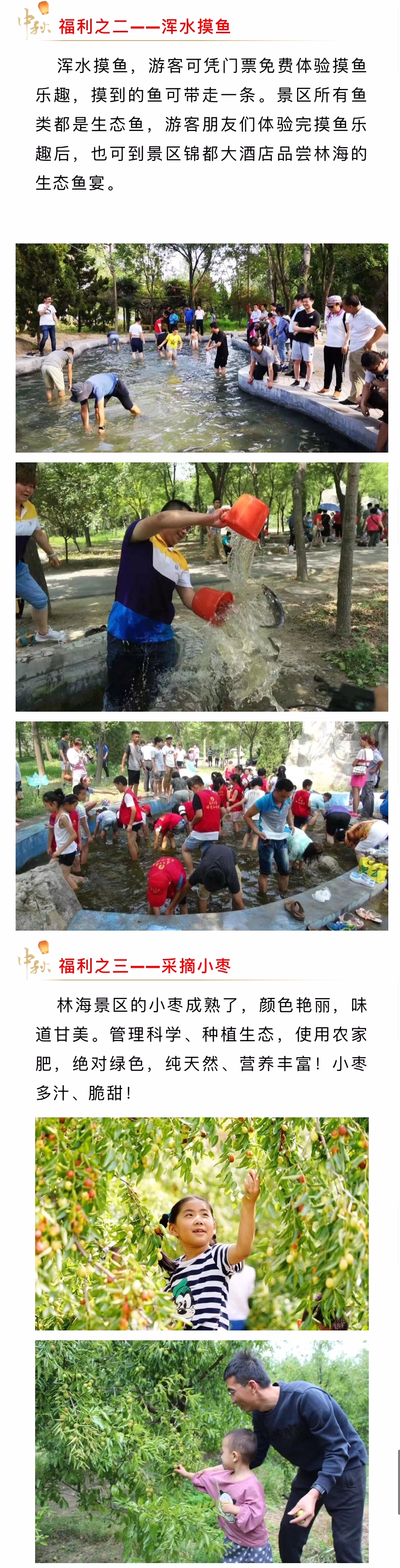 ���ֹ���F66��(�й���)�ٷ���վ