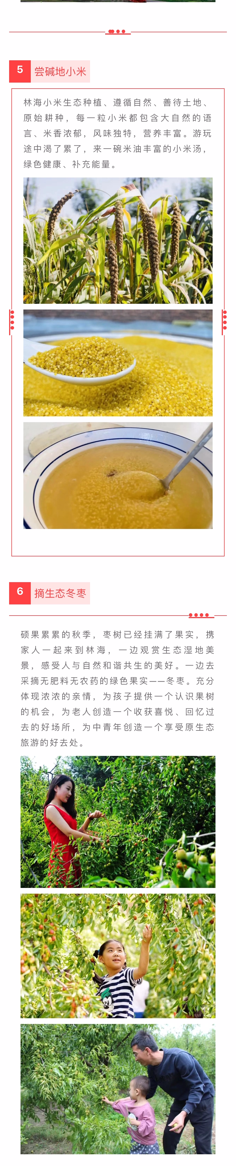 ���ֹ���F66��(�й���)�ٷ���վ