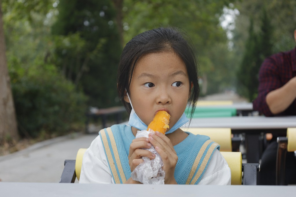 ���ֹ���F66��(�й���)�ٷ���վ