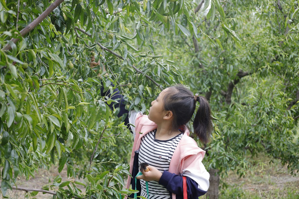 ���ֹ���F66��(�й���)�ٷ���վ