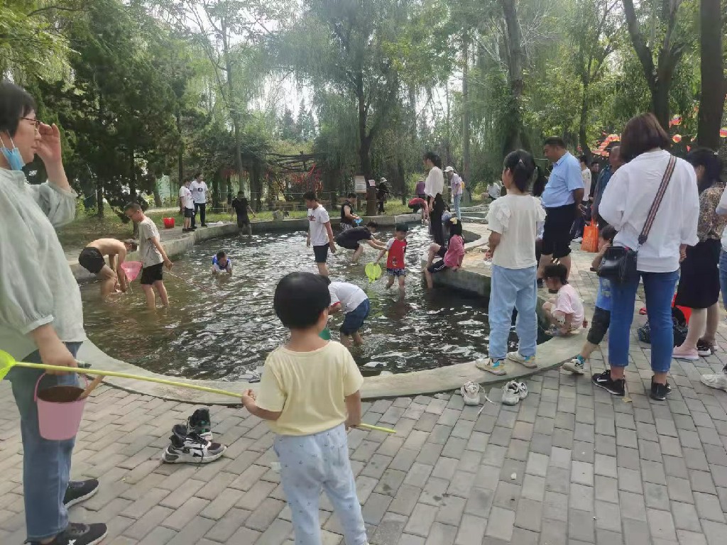 ���ֹ���F66��(�й���)�ٷ���վ