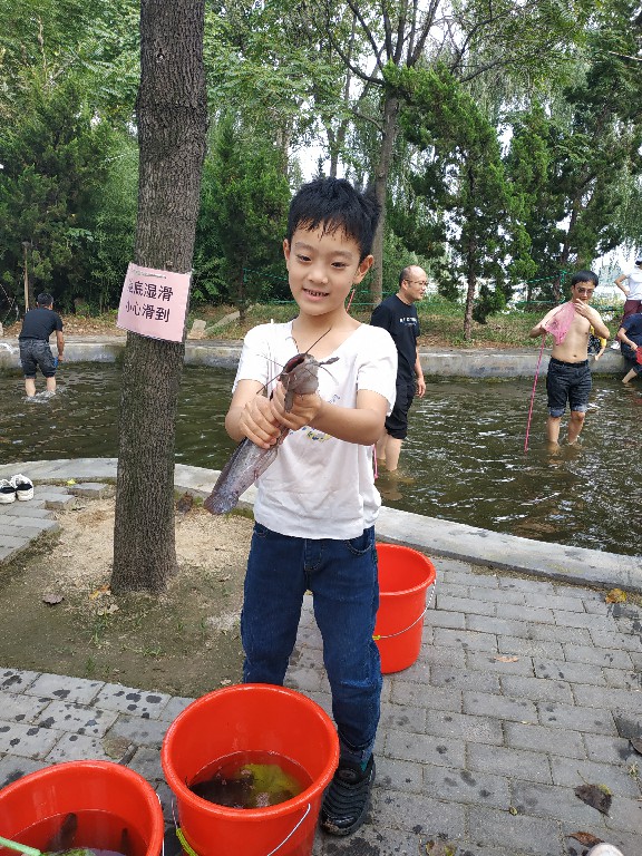 ���ֹ���F66��(�й���)�ٷ���վ