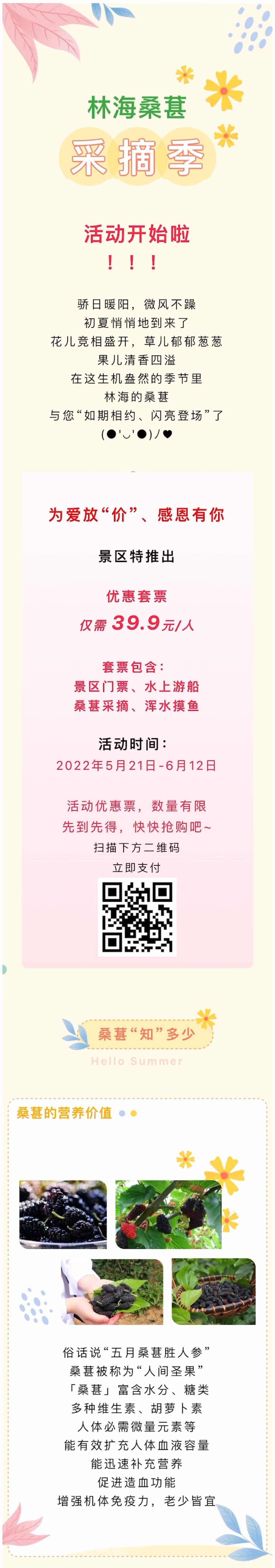 ���ֹ���F66��(�й���)�ٷ���վ