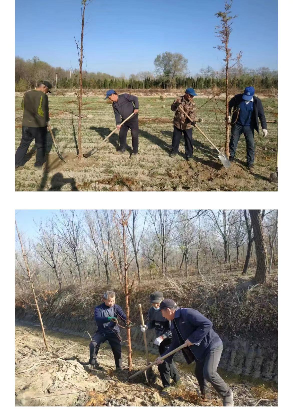 ���ֹ���F66��(�й���)�ٷ���վ