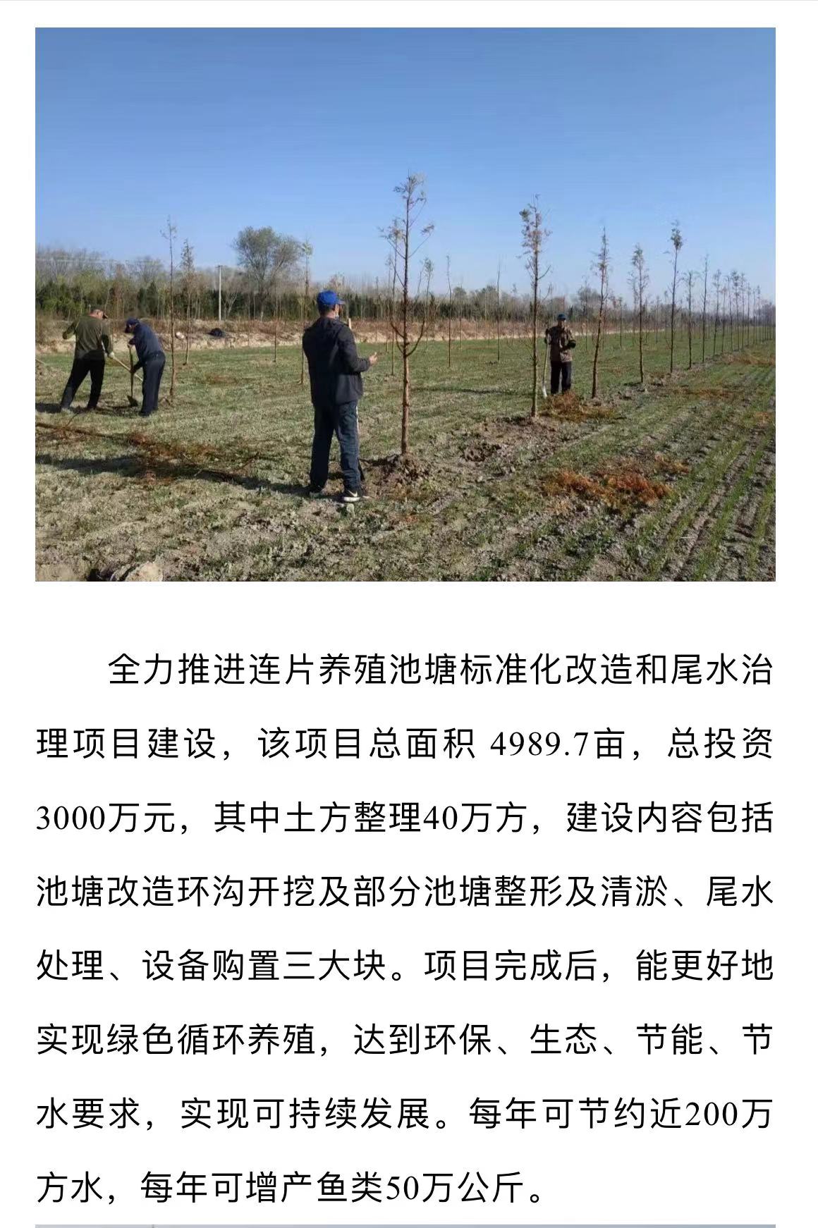 ���ֹ���F66��(�й���)�ٷ���վ