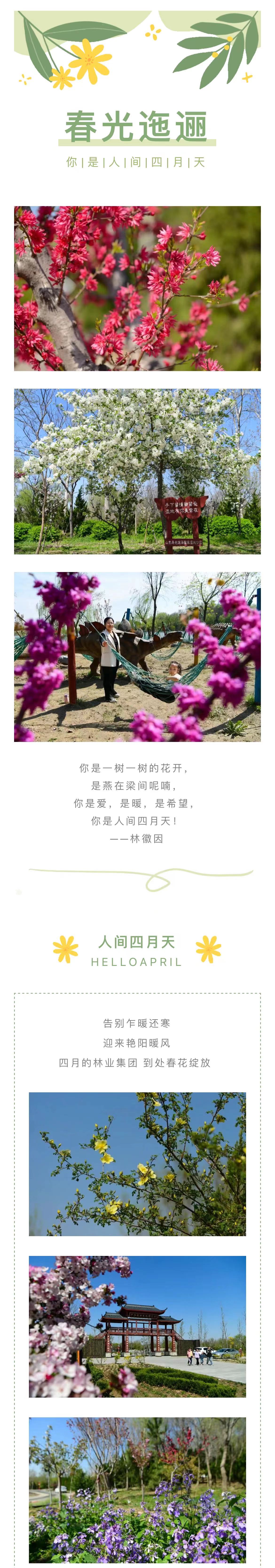 ���ֹ���F66��(�й���)�ٷ���վ