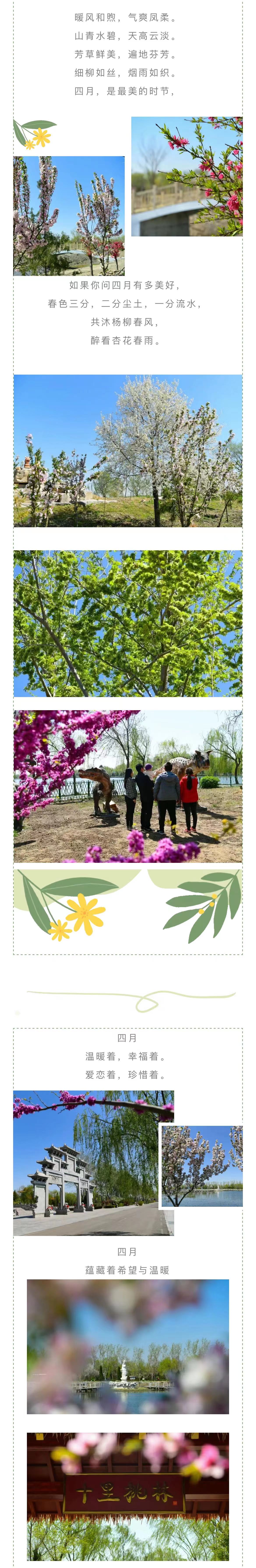 ���ֹ���F66��(�й���)�ٷ���վ