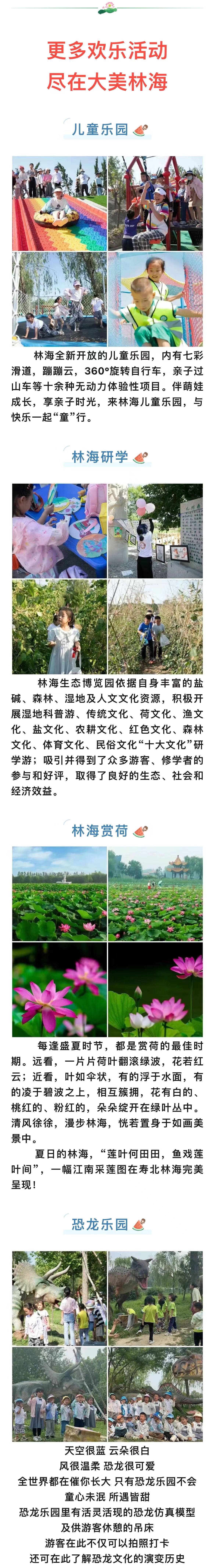 ���ֹ���F66��(�й���)�ٷ���վ