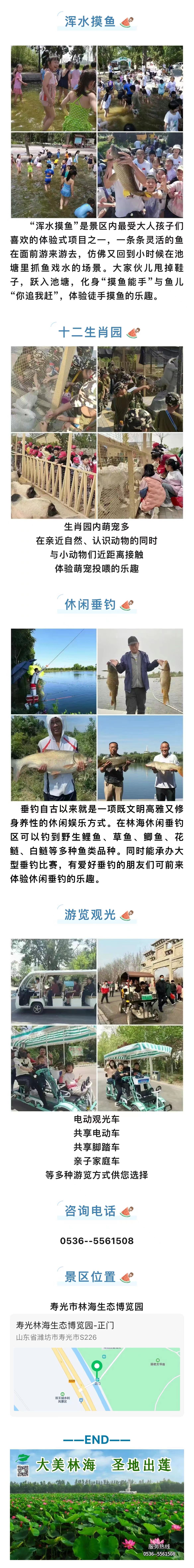 ���ֹ���F66��(�й���)�ٷ���վ