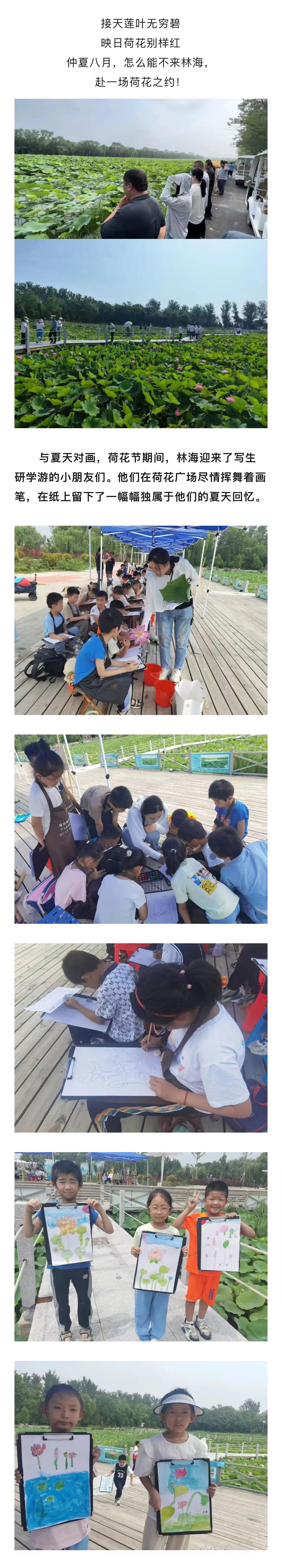 ���ֹ���F66��(�й���)�ٷ���վ