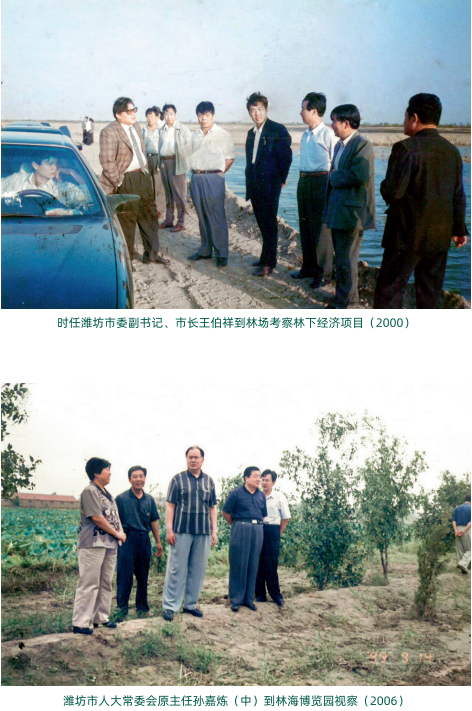 ���ֹ���F66��(�й���)�ٷ���վ