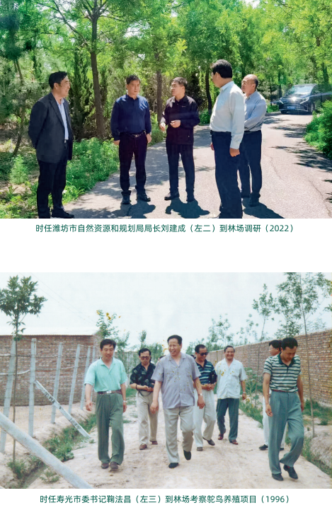 ���ֹ���F66��(�й���)�ٷ���վ