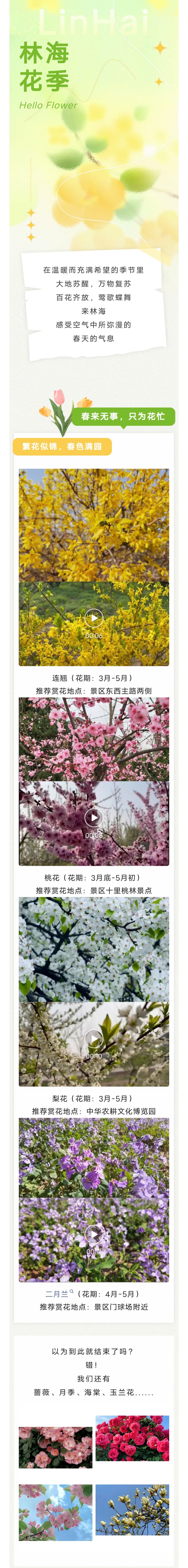 ���ֹ���F66��(�й���)�ٷ���վ