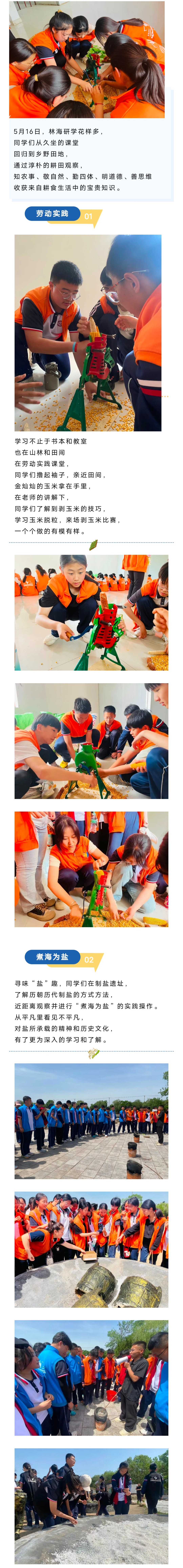 ���ֹ���F66��(�й���)�ٷ���վ