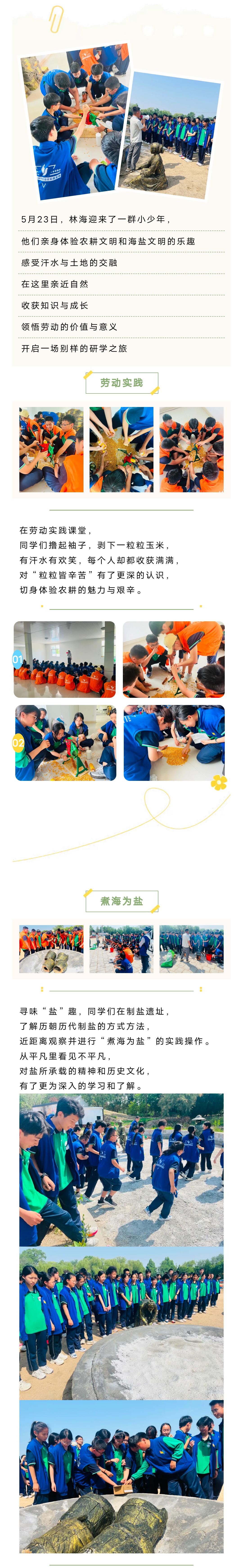 ���ֹ���F66��(�й���)�ٷ���վ