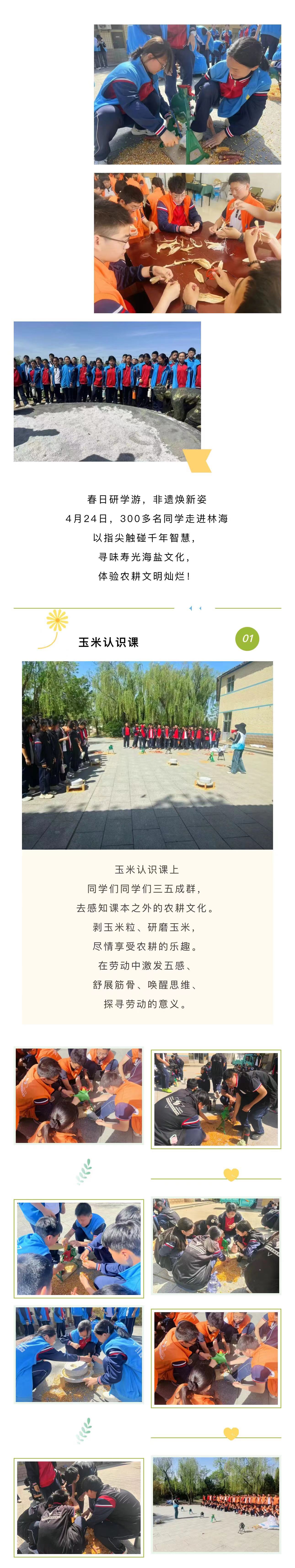 ���ֹ���F66��(�й���)�ٷ���վ