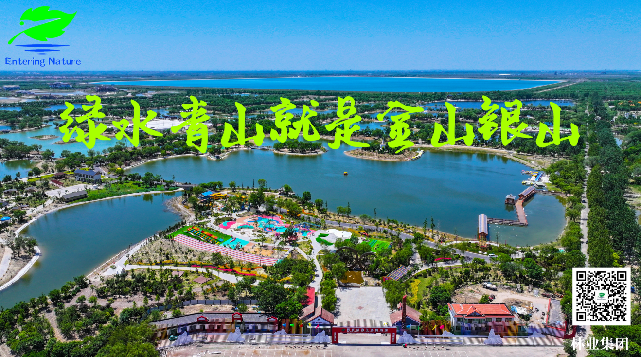 ���ֹ���F66��(�й���)�ٷ���վ