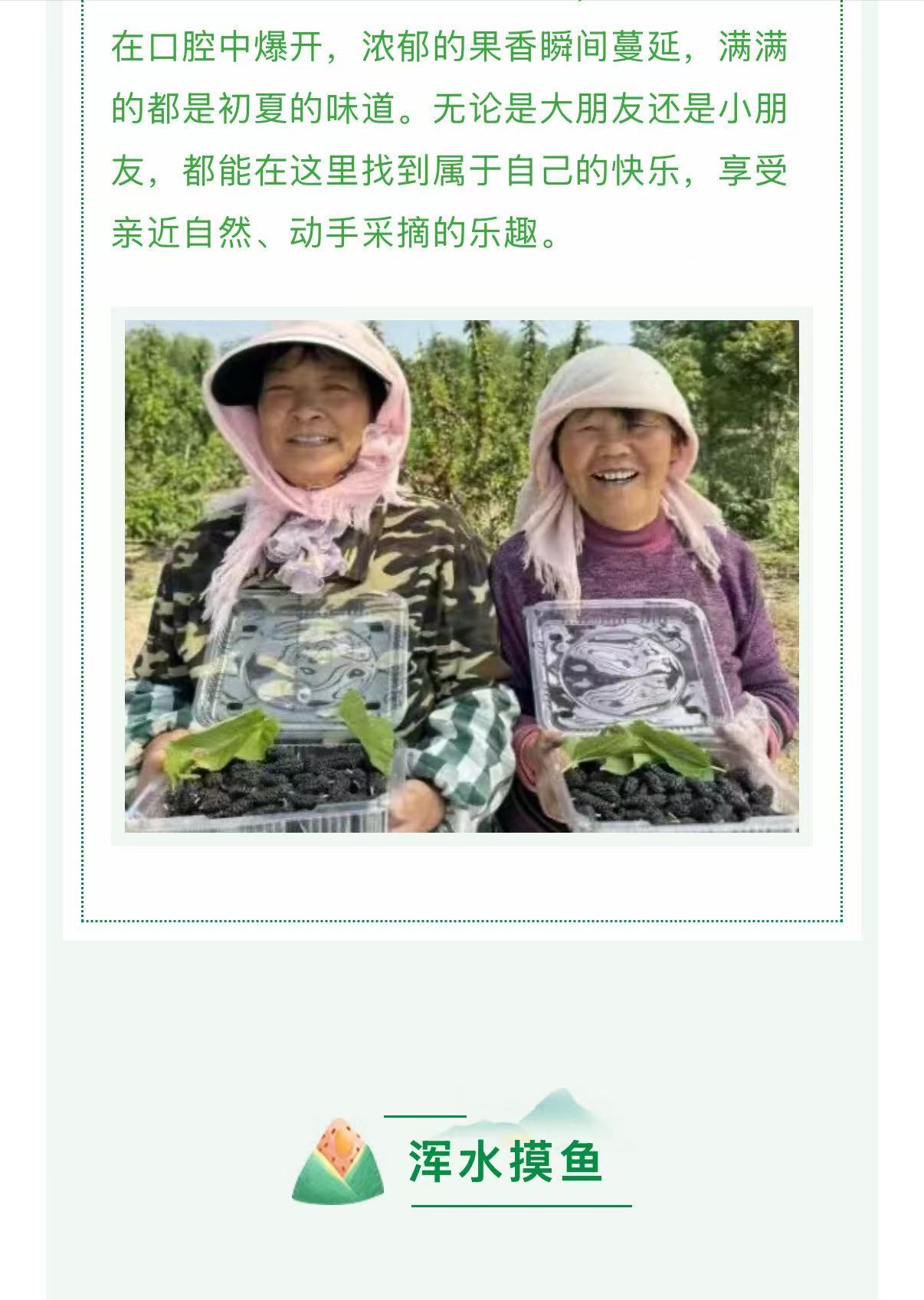 ���ֹ���F66��(�й���)�ٷ���վ