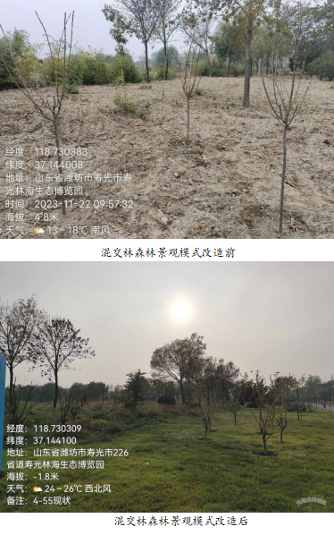 ���ֹ���F66��(�й���)�ٷ���վ