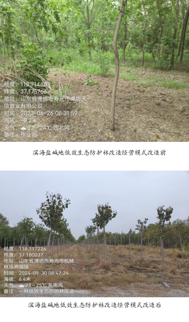 ���ֹ���F66��(�й���)�ٷ���վ