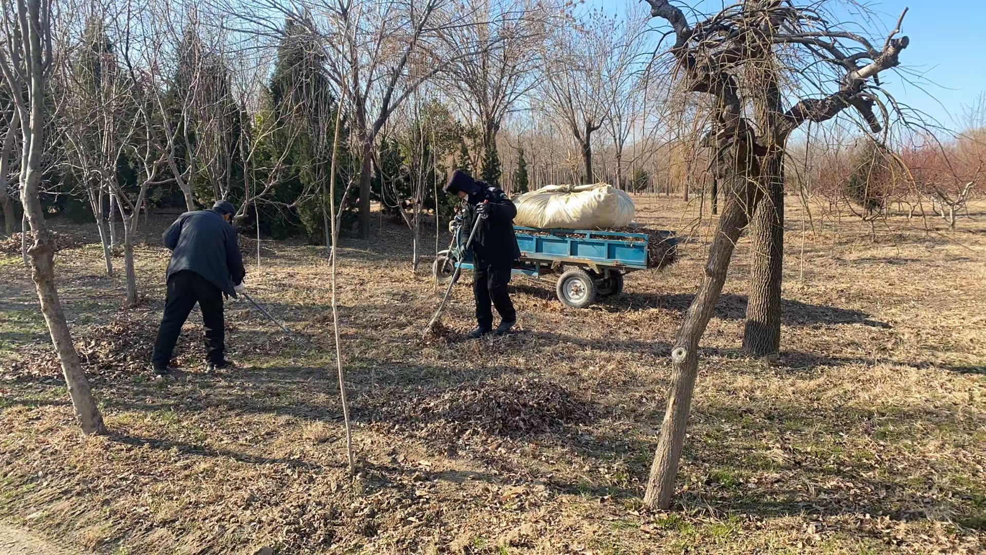 ���ֹ���F66��(�й���)�ٷ���վ